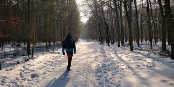 Hiking in winterly Berlin